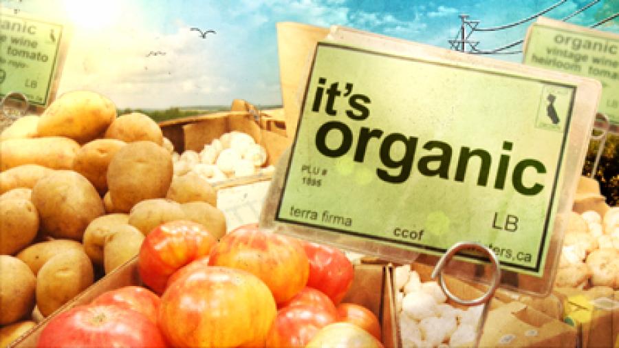 It’s Organic – Title Page